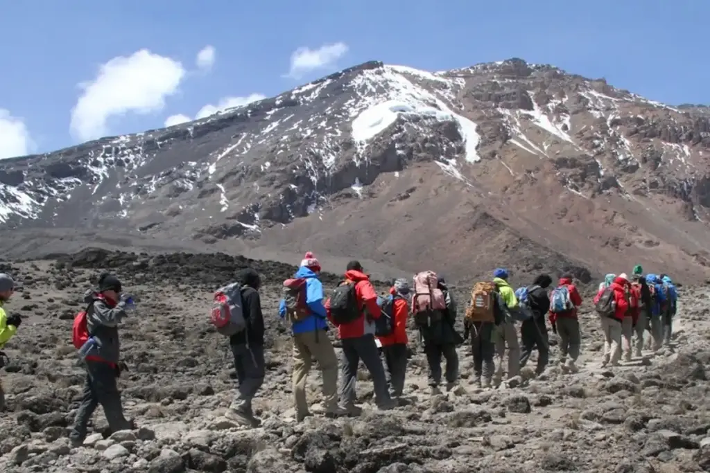 A group of climbers hiking toward the snowy summit of Kilimanjaro