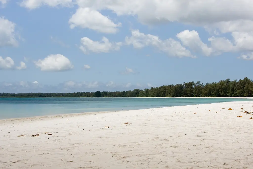 8-Day Pemba Island Diving & Beach Holiday