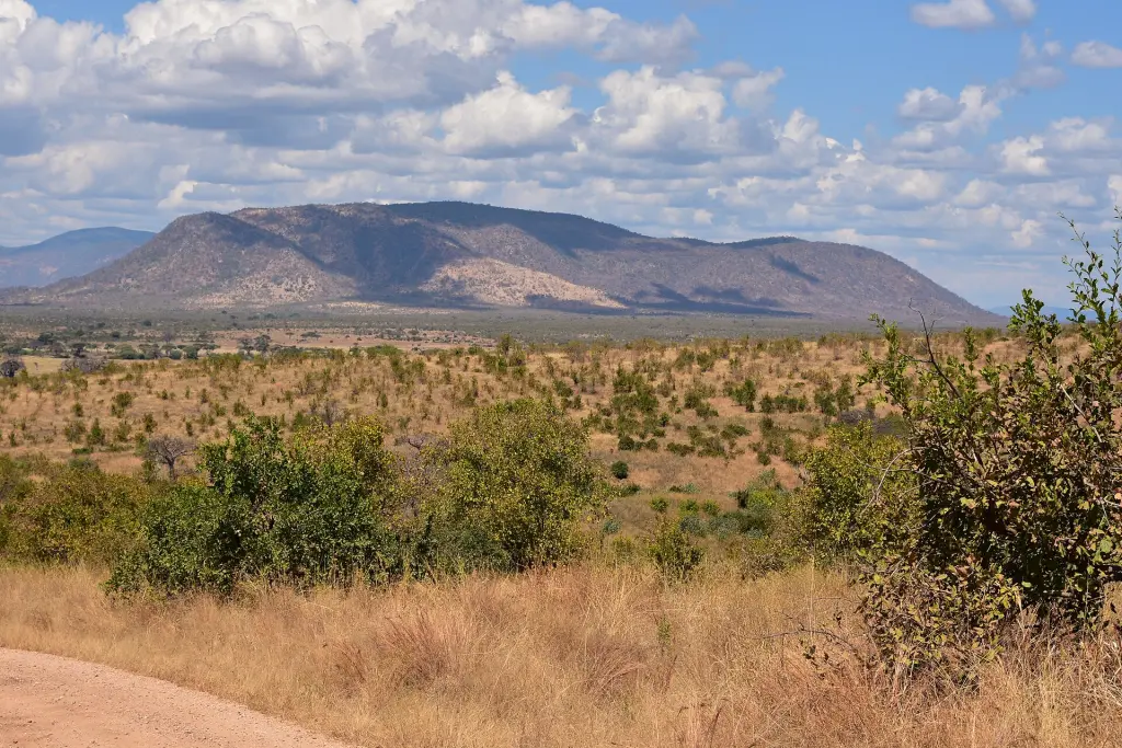Ruaha National Park landscape (10) (28955775481)