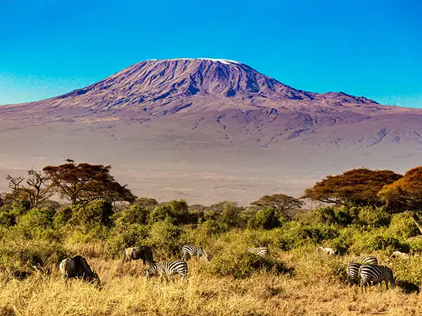 The snow-capped summit of Mount Kilimanjaro above the savannah
