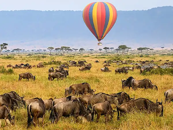 A hot air balloon above wildebeest herds on the savannah